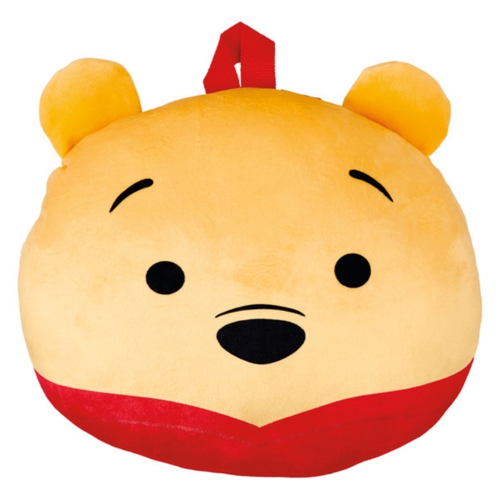Disney Winnie the Pooh Plush Bag!
